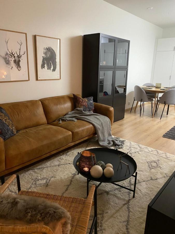 Amazing City Center Apartment Rovaniemi Exterior foto